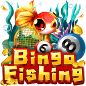Bingo Fishing at 66win casino