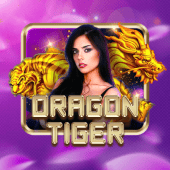 Dragon Tiger RTP at 66win casino